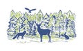 Sketch vector landscape with coniferous forest and animals. Animals silhouettes. Deer, hare, fox, owl, hedgehog.